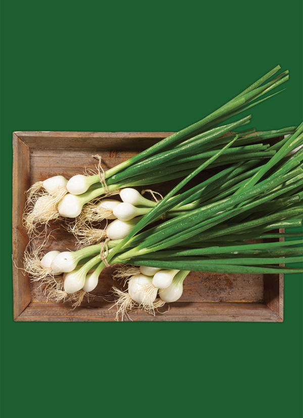 /ext/img/product/obst-und-gemuese/24_04_02/1400_lauchzwiebeln_dummy_1.jpg