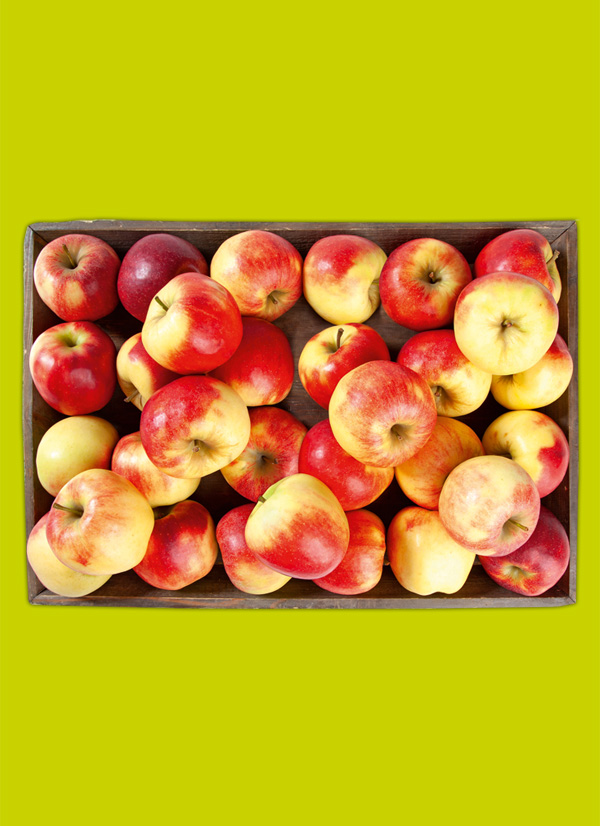 /ext/img/product/obst-und-gemuese/24_04_02/1600_aepfel_1.jpg