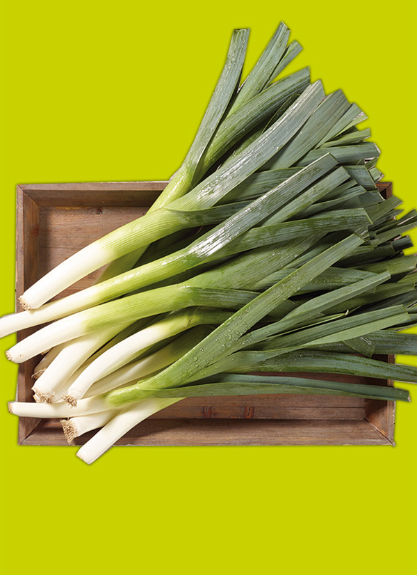 /ext/img/product/obst-und-gemuese/24_04_02/1600_porree_1.jpg