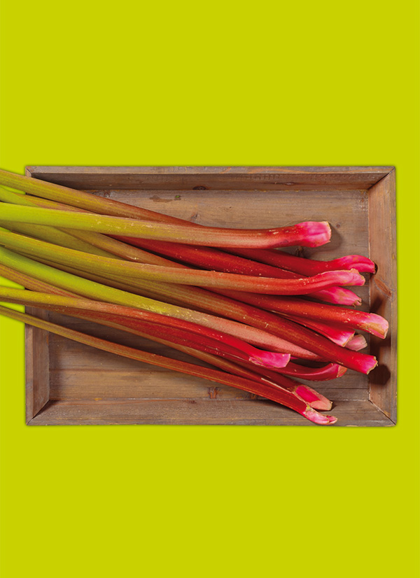 /ext/img/product/obst-und-gemuese/24_04_02/1600_rhabarber_1.jpg