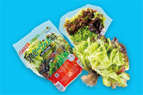 Produktbild »Bayerische Trio-Salate mit Wurzel«