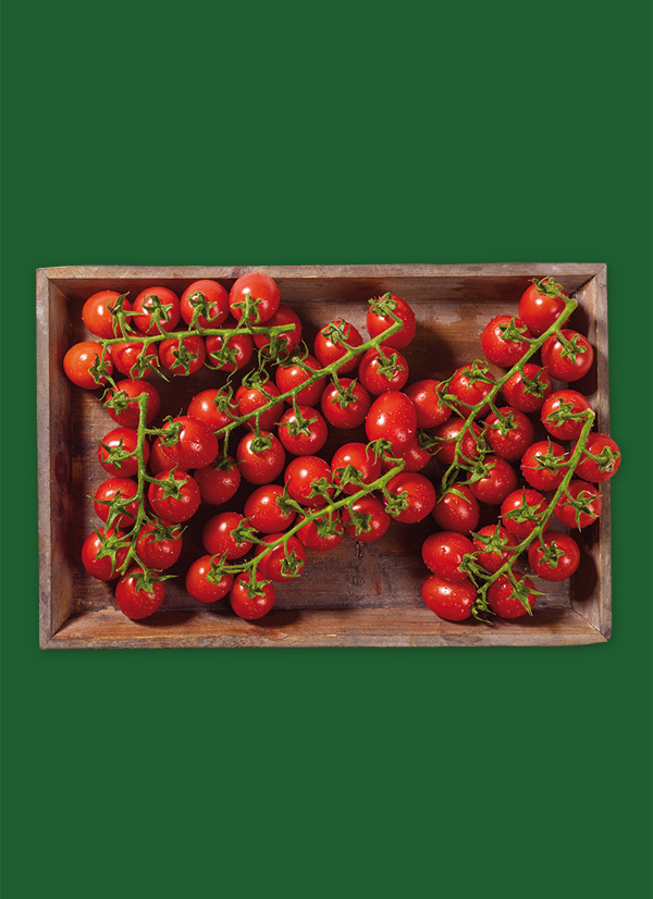 Produktbild »Brandenburger Premium Kirschtomaten«