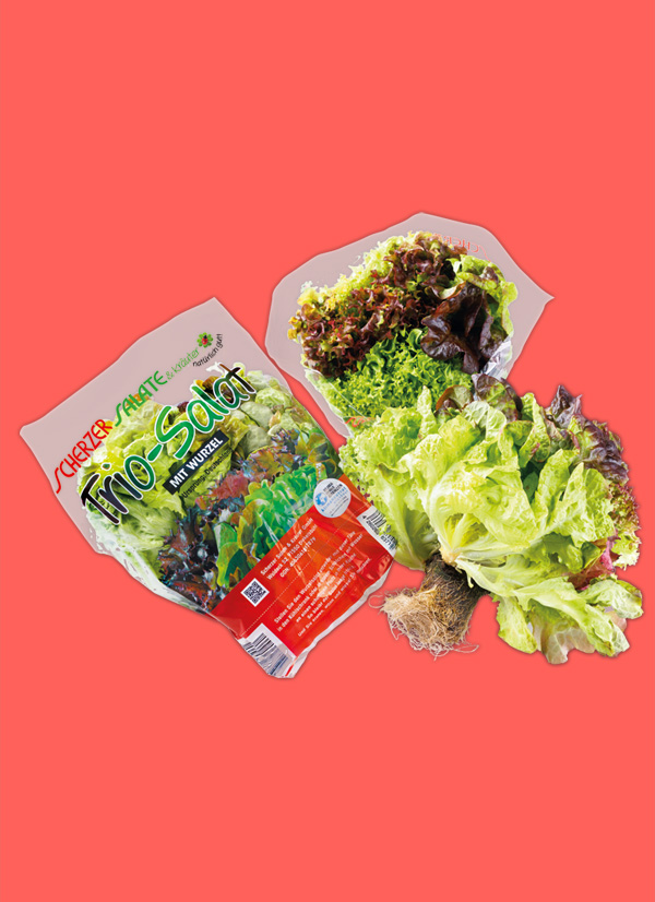 /ext/img/product/obst-und-gemuese/24_04_08/2000_trio-salate_1.jpg