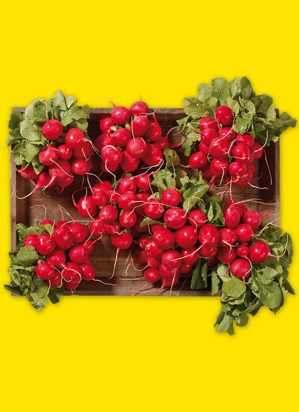 /ext/img/product/obst-und-gemuese/24_04_15/1600_radieschen_dummy_1.jpg