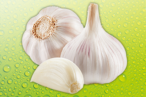 Produktbild »Bio-Knoblauch«