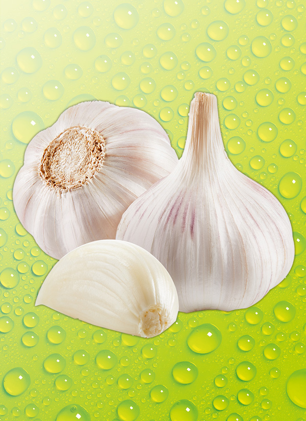 Produktbild »Bio-Knoblauch«