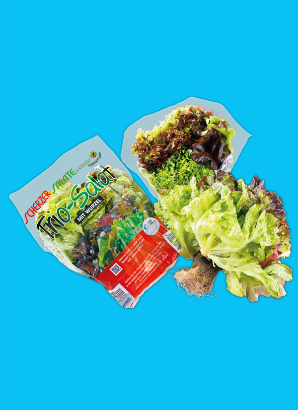 /ext/img/product/obst-und-gemuese/24_05_21/1300_trio-salate_1.jpg