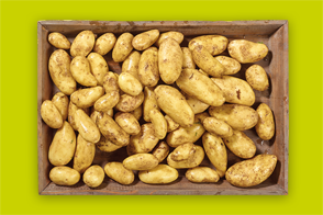 Produktbild »Speisekartoffeln aus unseren Genussregionen«