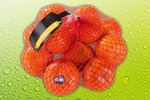 Produktbild »Premium Mandarinen«