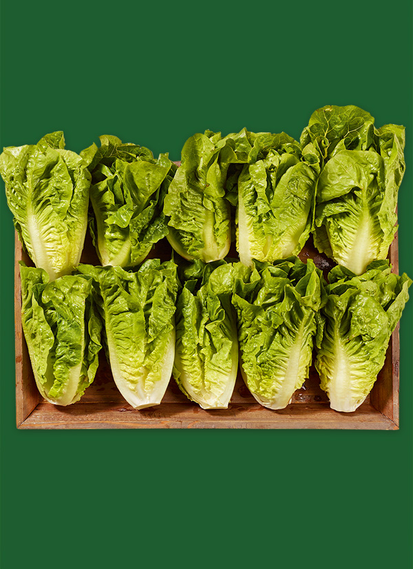 /ext/img/product/obst-und-gemuese/24_09_30/1500_mini-romana-salatherzen_1.jpg