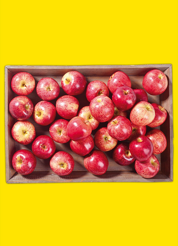 /ext/img/product/obst-und-gemuese/24_09_30/1600_aepfel_1.jpg