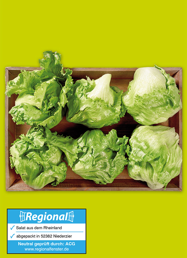 /ext/img/product/obst-und-gemuese/24_09_30/1700_eisbergsalat_1.jpg