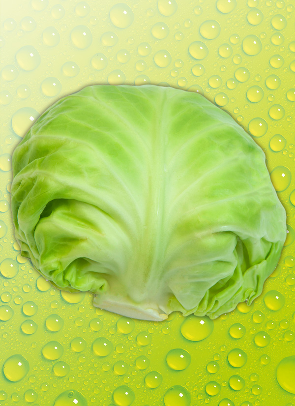 Produktbild »Flachkohl / Urkohl«