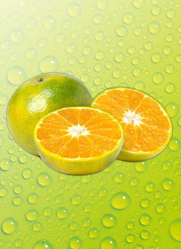 Produktbild »Satsumas«