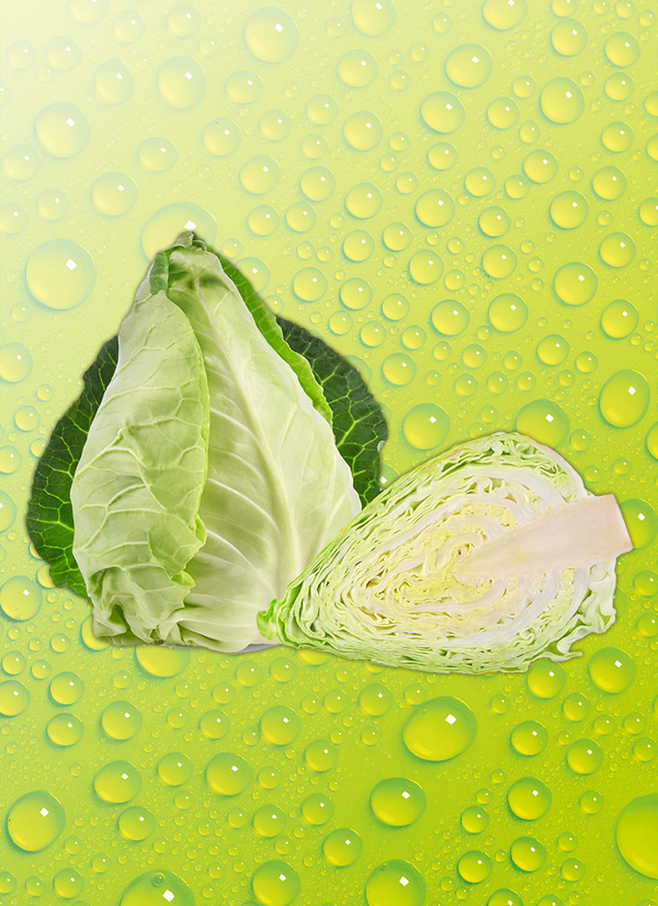 /ext/img/product/obst-und-gemuese/24_09_30/300_spitzkohl_o_1.jpg