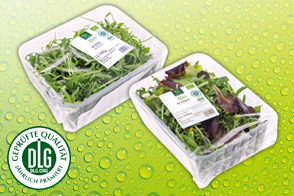 Produktbild »Bio-Salat«
