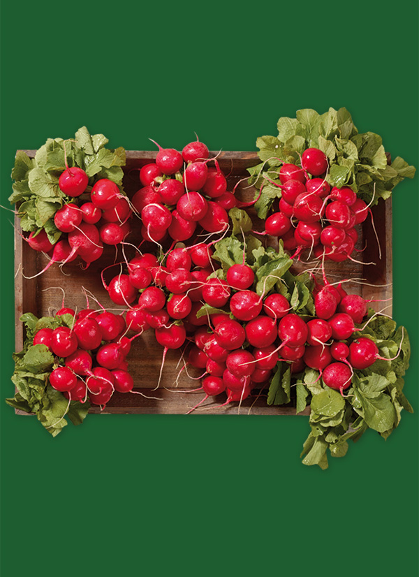 /ext/img/product/obst-und-gemuese/24_10_07/1700_radieschen_1.jpg