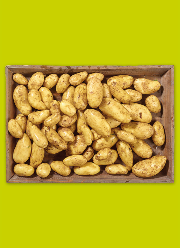 /ext/img/product/obst-und-gemuese/24_10_07/1900_kartoffeln_1.jpg