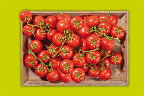 Produktbild »Rheinländer Premium Rispentomaten«