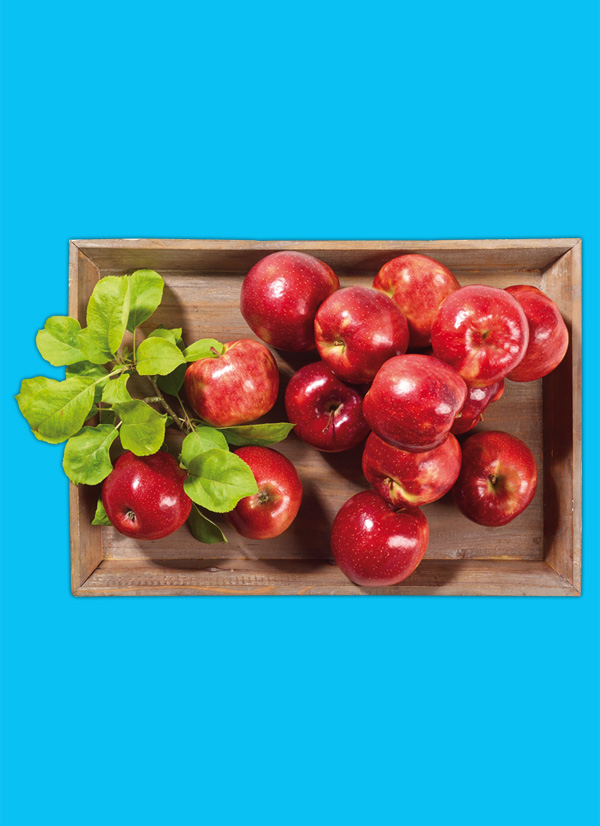 /ext/img/product/obst-und-gemuese/24_10_28/1700_aepfel_1.jpg