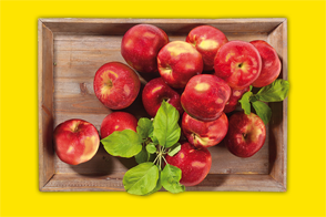 Produktbild »Äpfel aus Baden-Württemberg«