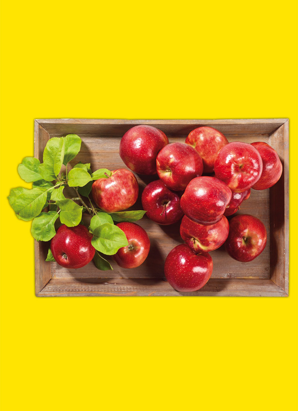 /ext/img/product/obst-und-gemuese/24_10_28/1900_aepfel_1.jpg