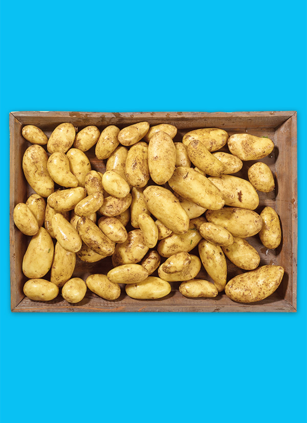 /ext/img/product/obst-und-gemuese/24_11_04/1300_speisekartoffeln_dummy_1.jpg