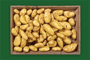 Produktbild »Speisekartoffeln aus unseren Landen«