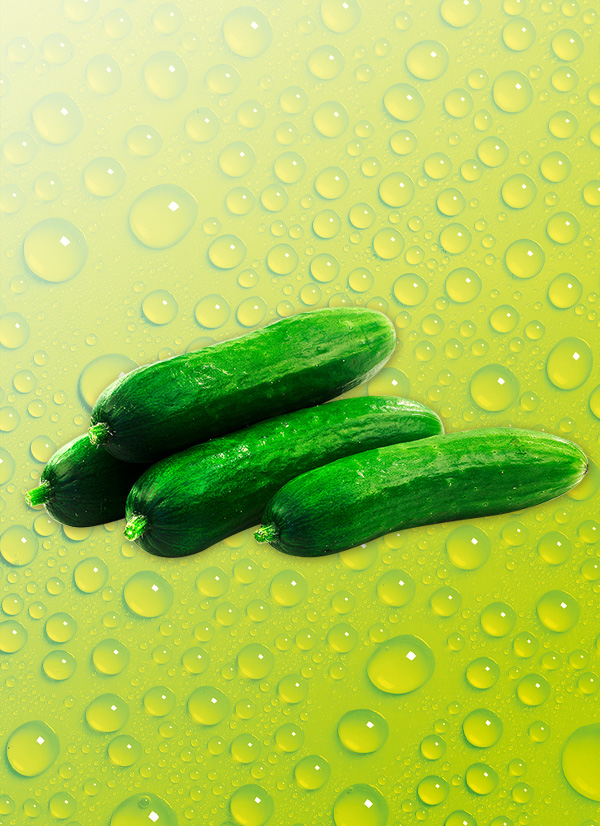 /ext/img/product/obst-und-gemuese/24_11_04/300_mini-gurken_o_1.jpg