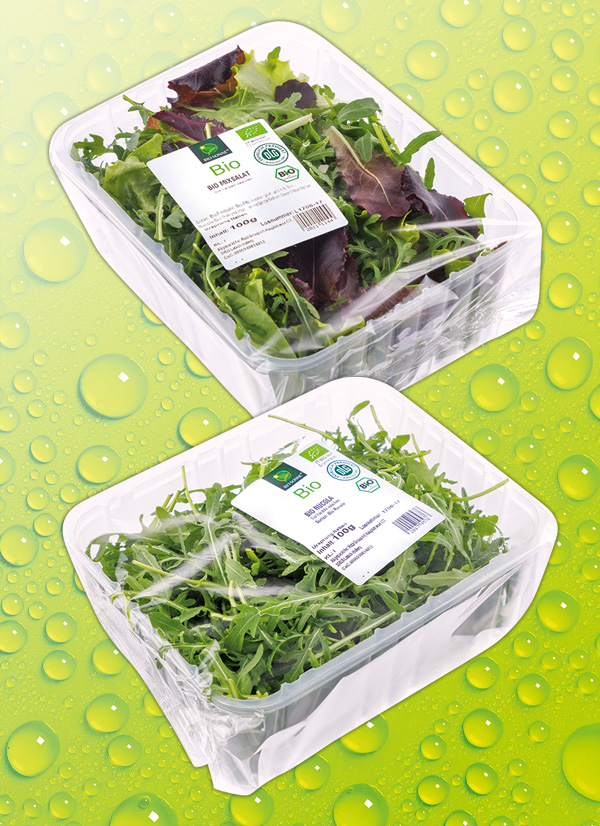 Produktbild »Bio-Salat«