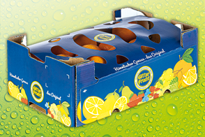 Produktbild »Premium Clementinen«