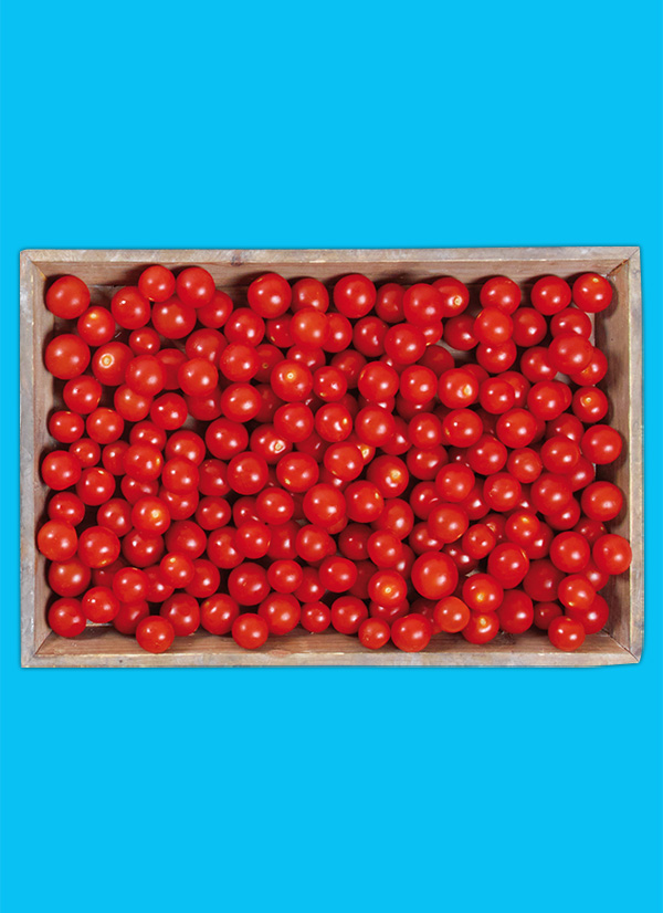 /ext/img/product/obst-und-gemuese/24_11_25/1400_naschtomaten_1.jpg