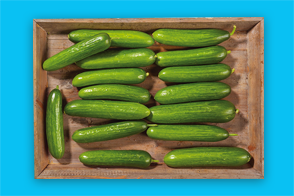 Produktbild »Bayerische Mini Gurken«
