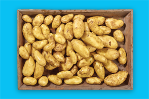 Produktbild »Bayerische Speisekartoffeln«