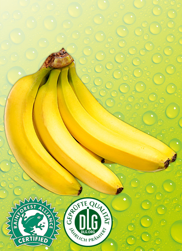 /ext/img/product/obst-und-gemuese/25_01_13/200_bananen_wo_1.jpg
