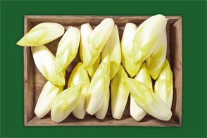 Produktbild »Brandenburger Chicorée«