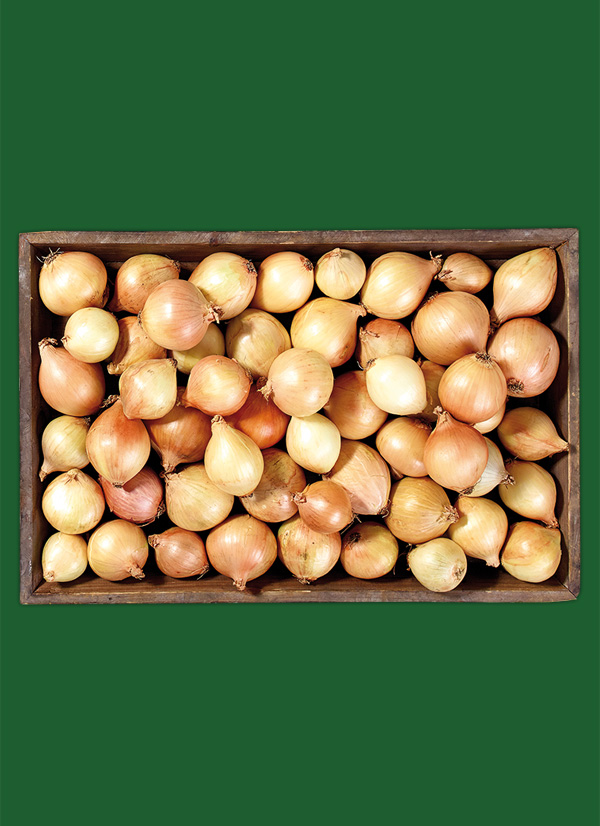 Produktbild »Speisezwiebeln aus unseren Landen«