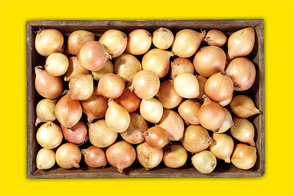 Produktbild »Speisezwiebeln aus Baden-Württemberg«