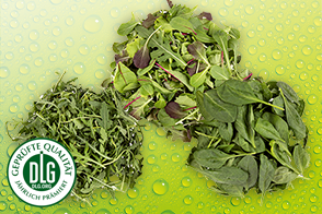 Produktbild »Bio-Salate«