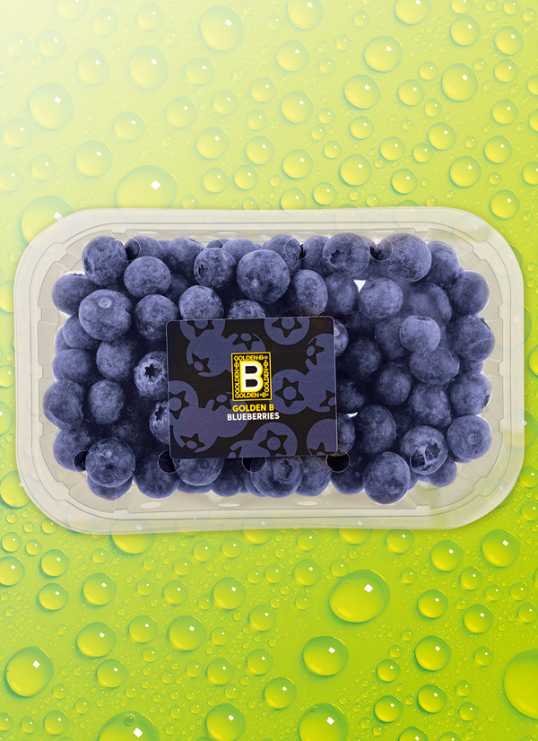 /ext/img/product/obst-und-gemuese/25_03_10/1300_heidelbeeren_wo_1.jpg