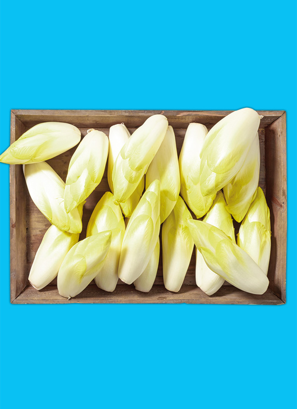 /ext/img/product/obst-und-gemuese/25_03_10/1500_chicoree_dummy_1.jpg