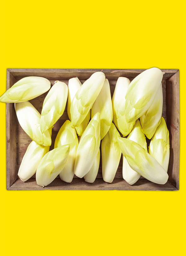 /ext/img/product/obst-und-gemuese/25_03_10/1700_chicoree_dummy_1.jpg