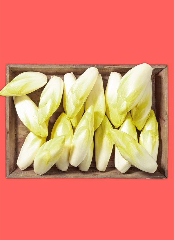 /ext/img/product/obst-und-gemuese/25_03_10/1900_chicoree_dummy_1.jpg