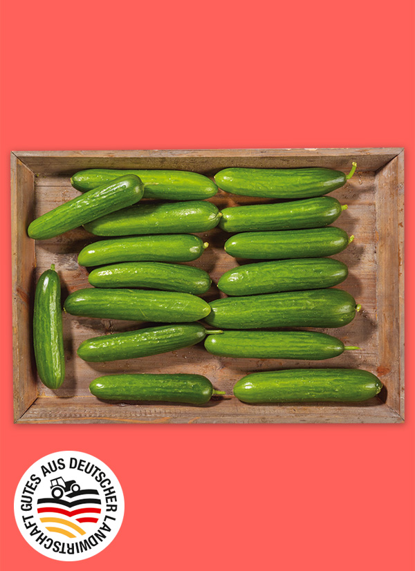 /ext/img/product/obst-und-gemuese/25_03_10/1900_mini-gurken_1.jpg