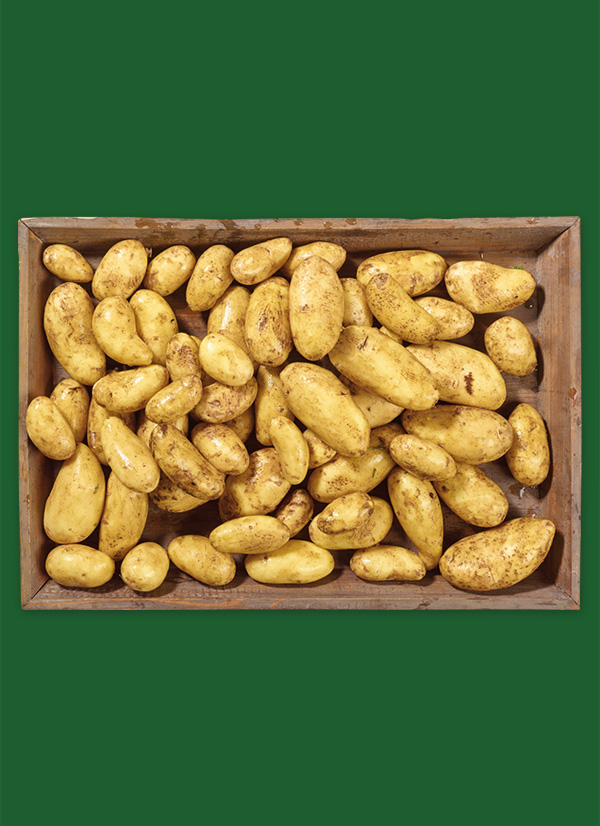 /ext/img/product/obst-und-gemuese/25_03_17/1300_speisekartoffeln_1.jpg