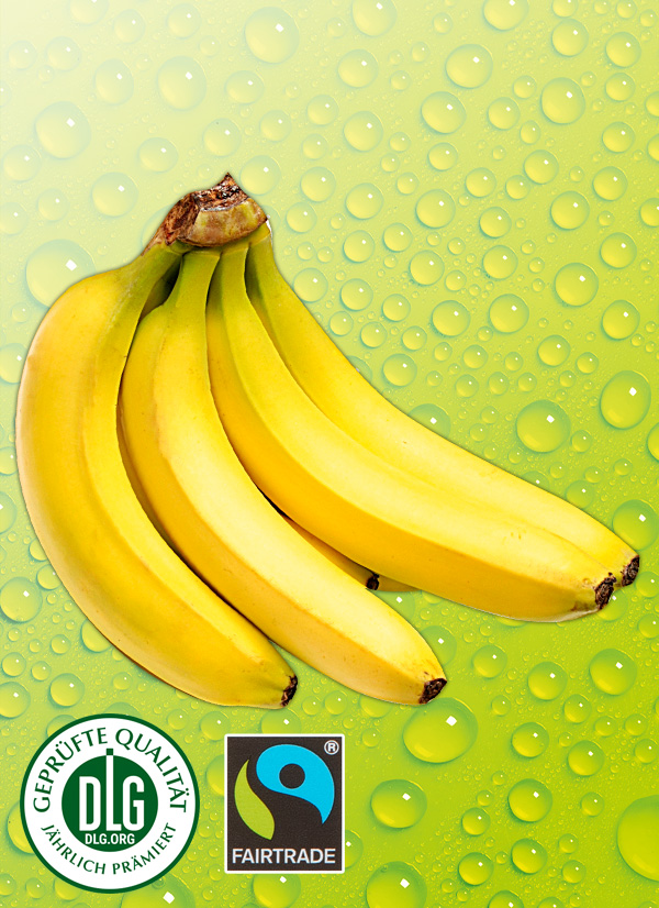 /ext/img/product/obst-und-gemuese/25_05_05/1000_bananen_1.jpg
