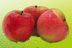 Äpfel mit Schönheitsfehlern