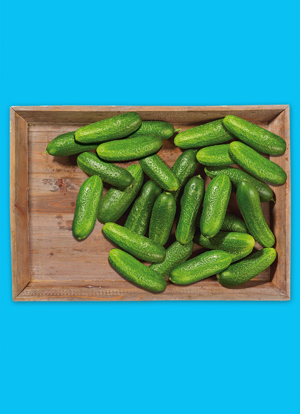 /ext/img/product/obst-und-gemuese/25_05_12/1400_bauerngurken_1.jpg