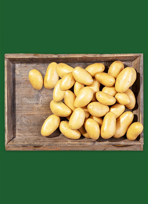 /ext/img/product/obst-und-gemuese/25_05_12/1500_speisekartoffeln_1.jpg