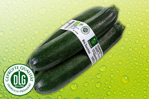 Bio Zucchini